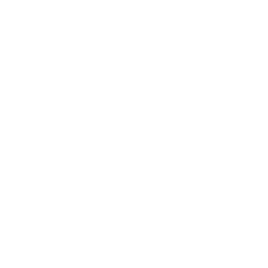 Mitsubishi Springs
